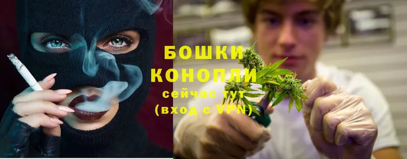 Каннабис Bruce Banner  купить закладку  Апшеронск 